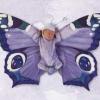 Photo de Anne Geddes