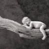 Photo de Anne Geddes