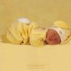 Photo de Anne Geddes