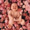 Photo de Anne Geddes