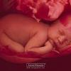 Photo de Anne Geddes