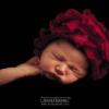 Photo de Anne Geddes
