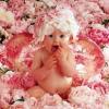 Photo de Anne Geddes