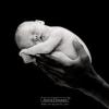 Photo de Anne Geddes
