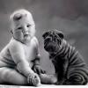 Photo de Anne Geddes