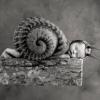 Photo de Anne Geddes