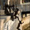 photo image insolite incroyable drole humour