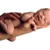 Photo de bébé, nourisson, enfant , fille, garcon