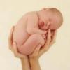 Photo de bébé, nourisson, enfant , fille, garcon