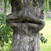 photo image insolite incroyable drole humour