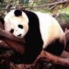 Les plus belle photos
