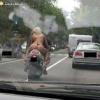 photo insolite 2011 humour drole