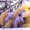 Les plus belle photos