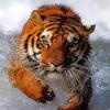 Les plus belle photos