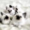 Les plus belle photos