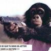 Photo humor rigolote
