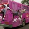 photo insolite 2011 humour drole