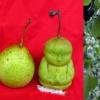 incroyable insolite drole photo image 2011