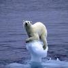 Les grandes catastrophes