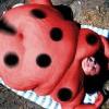 Insolite
