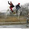 Insolite
