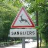 Insolite