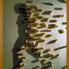 incroyable insolite drole photo image 2011