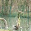Insolite